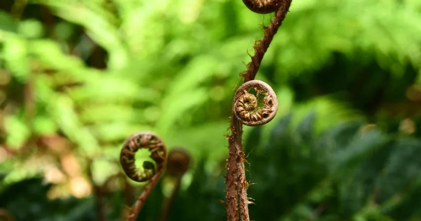 How to Deal With Feelings of Guilt and Shame After Watching Porn